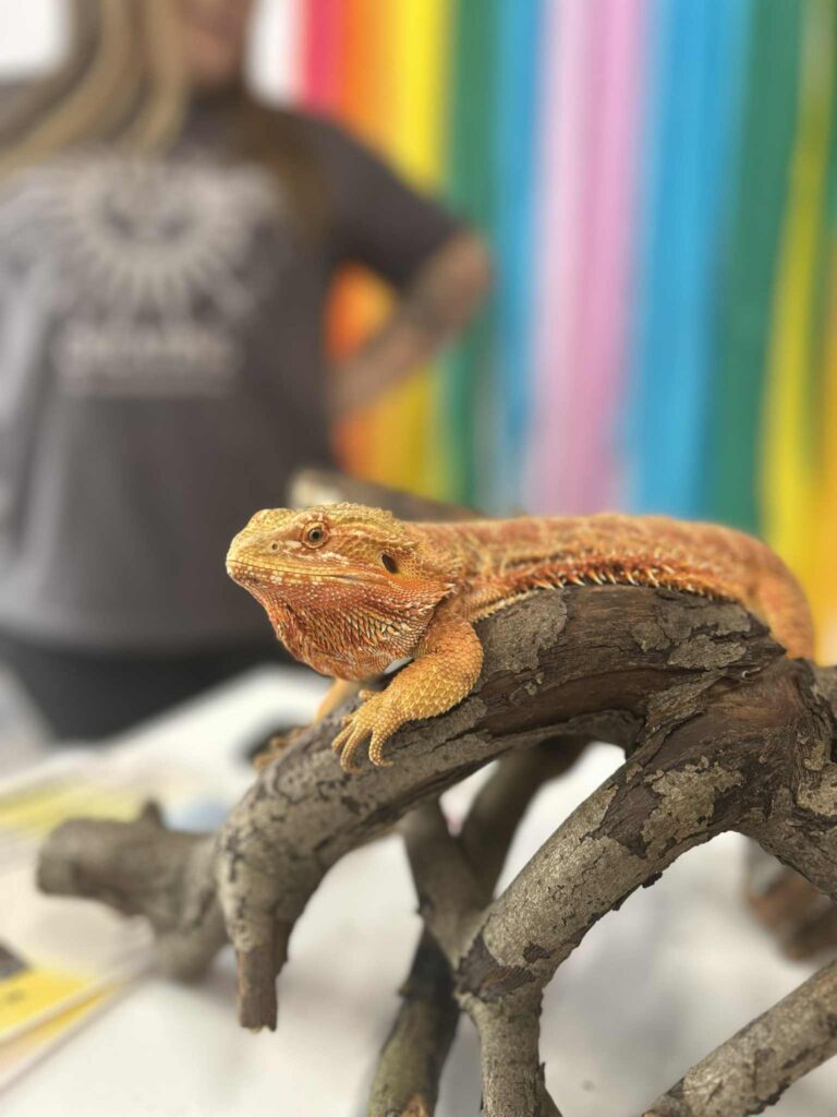 att.kEf0Iae9imfUlynYRGA3mqntJmu6uZtGpVhM6_t1GRk